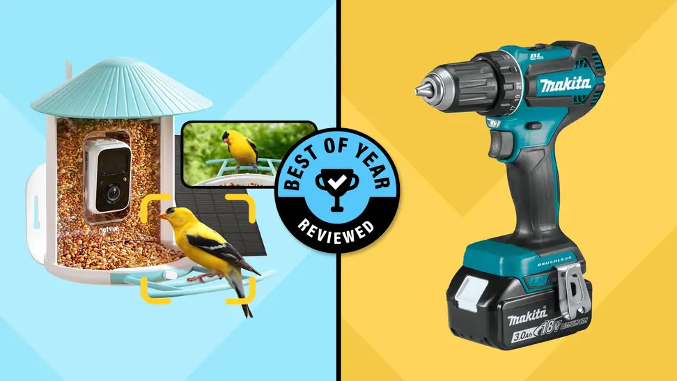 A blue and yellow split collage for the 2024 Reviewed Best of Year awards featuring the Netvue Birdfy Feeder AI smart bird feeder and Makita Cordless Drill.
