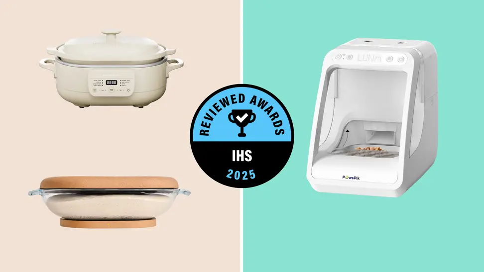 A slow-cooker, a sourdough container and a pet feeder sit on a pastel background