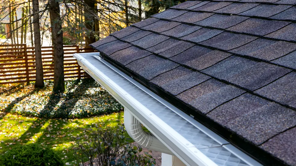 Gutter system with protective guard installed along roofline overlooking a backyard.
