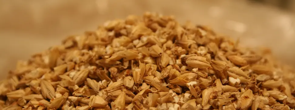 A pile of milled malted barley.
